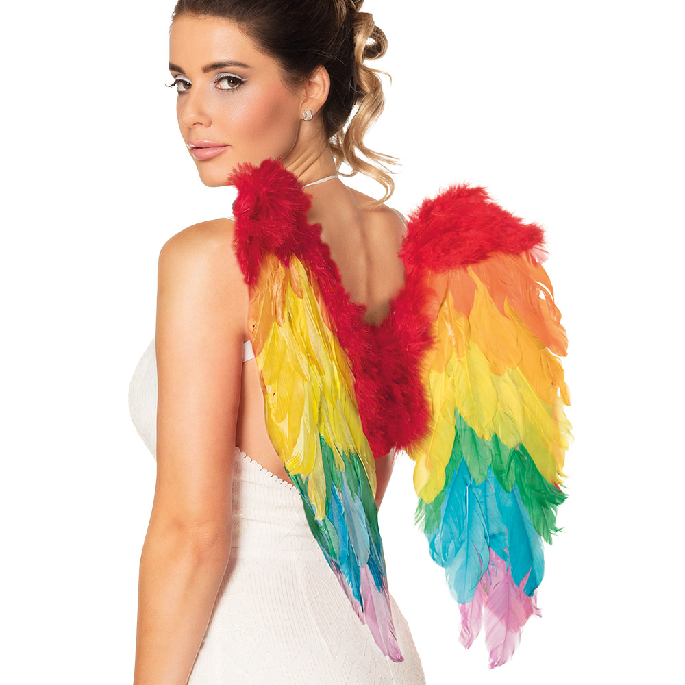 AILES D'ANGE ARC EN CIEL (Ailes en plumes 50/50 cm) Gay pride