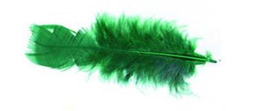 Plumes vertes 10 15 cm pied plat