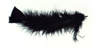 Plumes noires pied plat 10 à 15 cm
