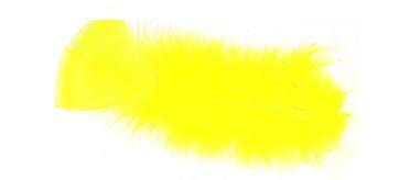 Plumes jaunes