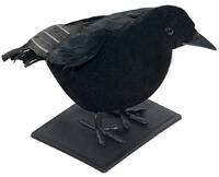 42110__072156900_1514_07062023