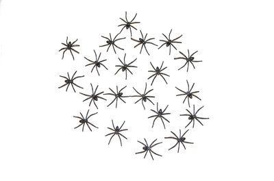 20 araignees décoration