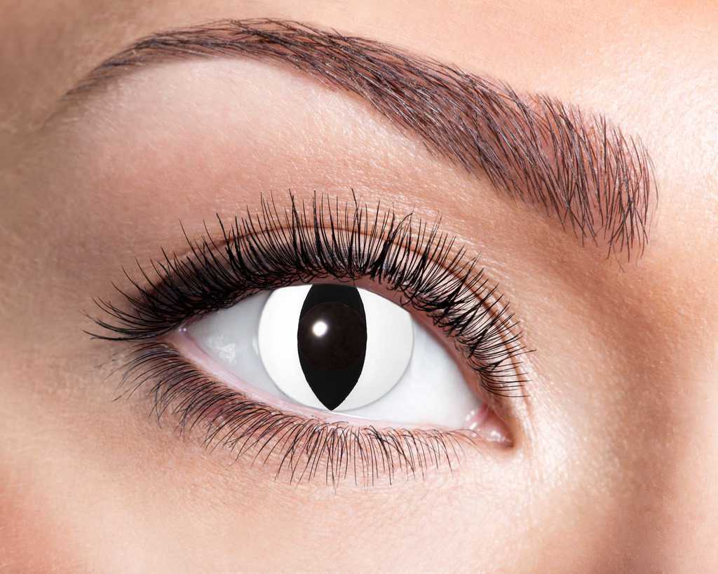 Beauty female blue eye with curl long false eyelashes - macro shot over white background