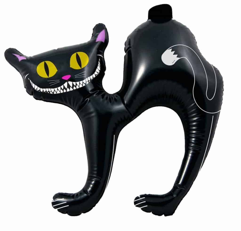 Chat halloween gonflable