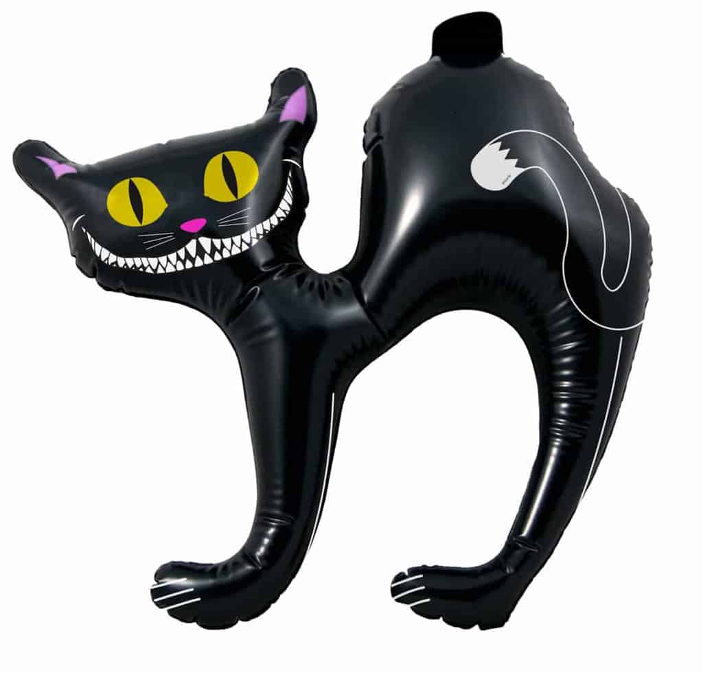 Chat halloween gonflable