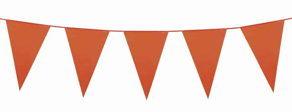 GUIRLANDE 20 FANIONS (Taille 10 m - 8 coloris) – Image 7