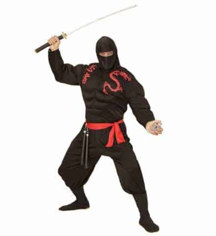 Costume super ninja