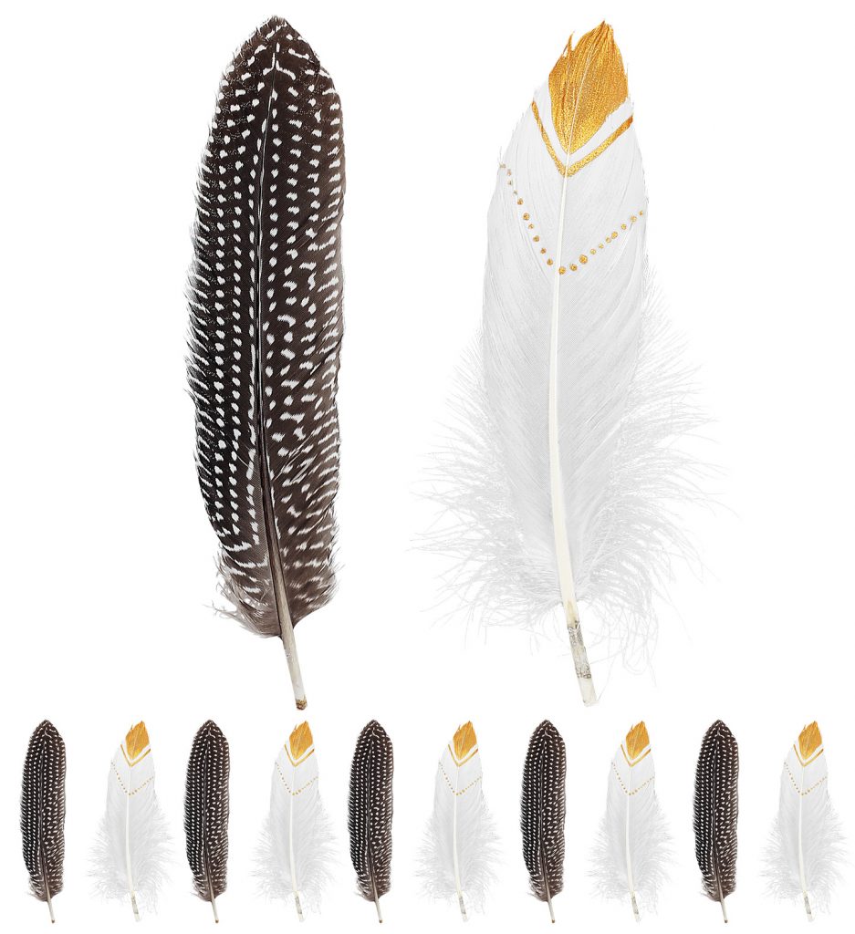 PACK PLUMES (Sachet 12 plumes 20 cm)