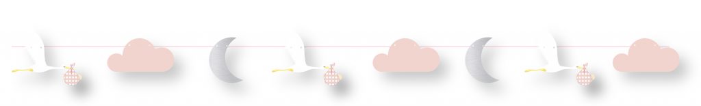 GUIRLANDE CIGOGNE ROSE (3 mètres - Baby Shower)
