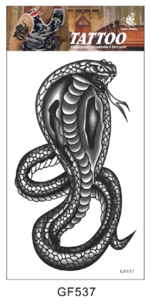 TATOUAGES ÉPHÉMÈRES (Pack 12 pièces au modèle) 20 modèles de 20 x 10 cm