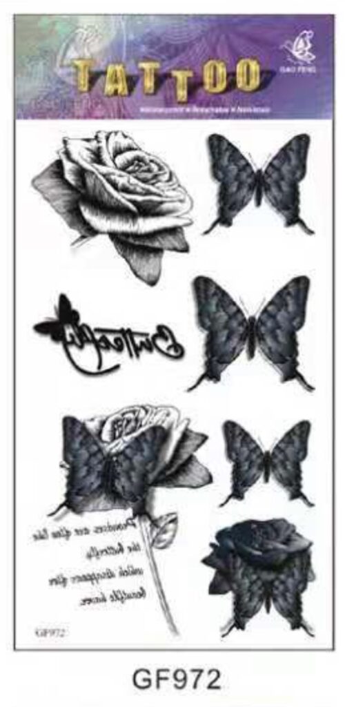 TATOUAGES ÉPHÉMÈRES (Pack 12 pièces au modèle) 20 modèles de 20 x 10 cm