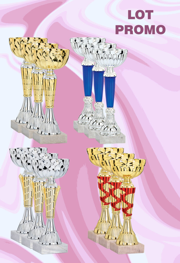 PACK 12 COUPES CHAMPION (Tailles de 18 à 21 cm)