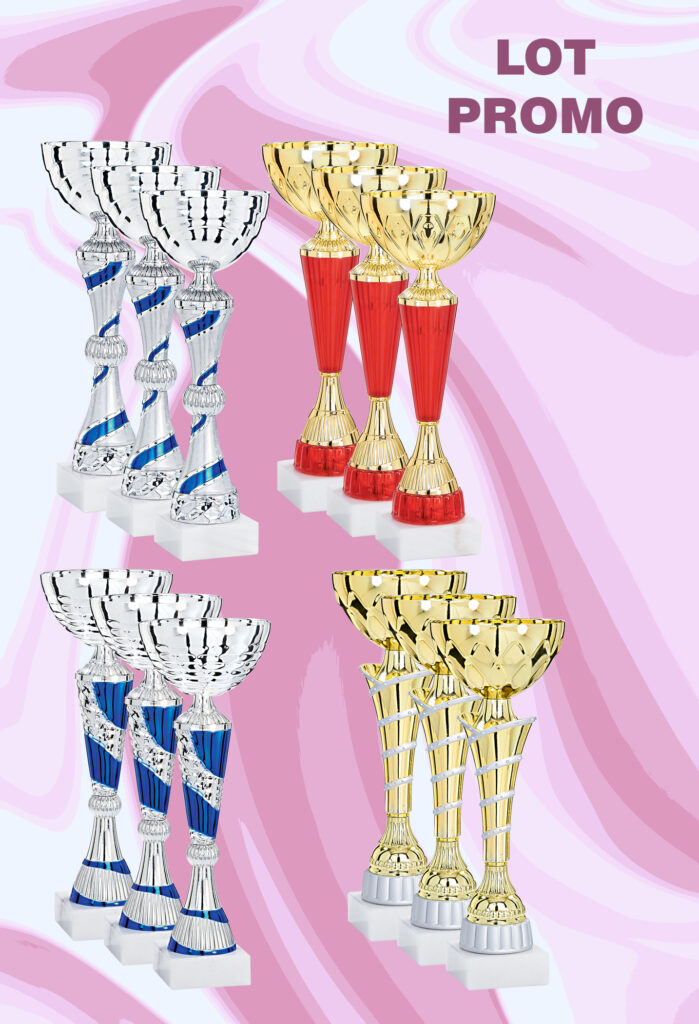 PACK 12 COUPES CHAMPION (Tailles de 26 à 30 cm)