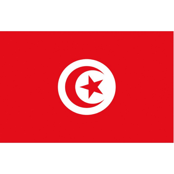 LES DRAPEAUX DU MONDE (Choisissez votre pays) Dimension 90 x 150 cm – Image 42