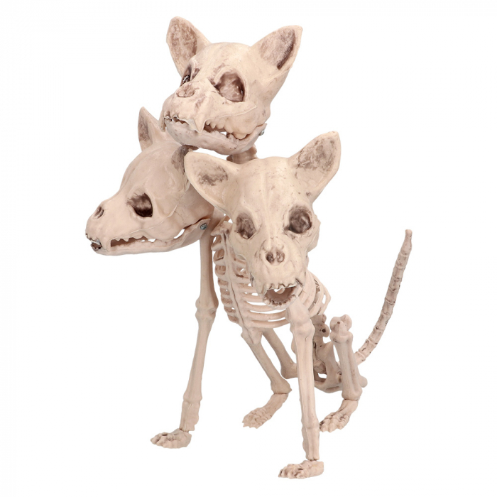 SQUELETTE CERBERUS (Décoration de 33 cm) Squelette chien à 3 têtes