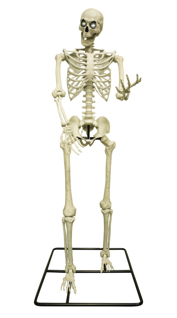 SQUELETTE GÉANT Taille 318cm