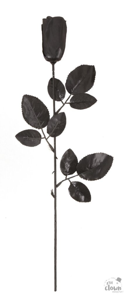 PACK ROSES NOIRES (Hauteur 45 cm - 48 pièces)