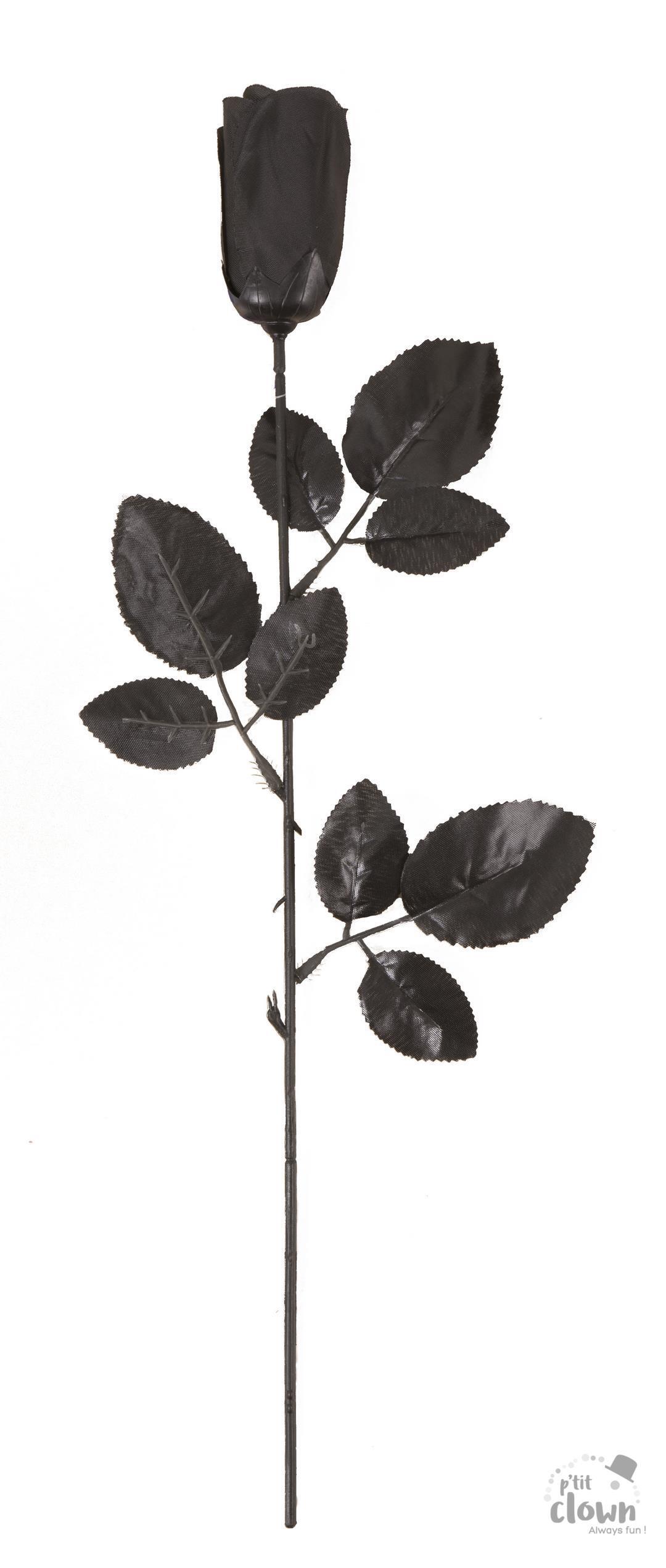 PACK ROSES NOIRES (Hauteur 45 cm - 48 pièces)