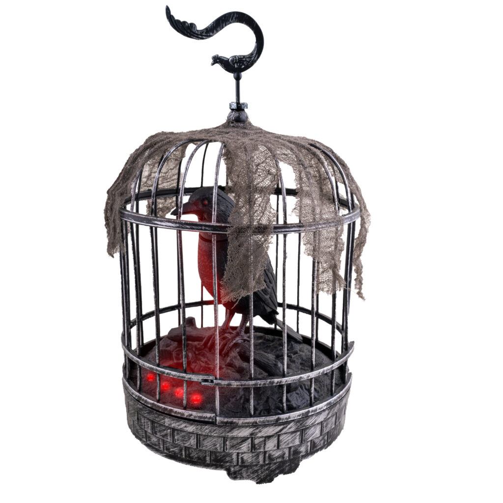 CORBEAU DANS SA CAGE ANIME ET SONORE
