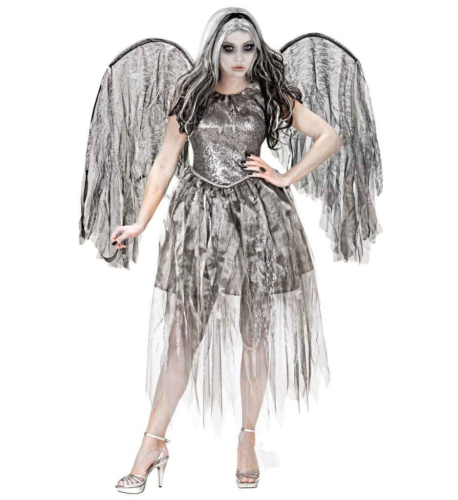 COSTUME ANGE SOMBRE ADULTE (ROBE+AILES)