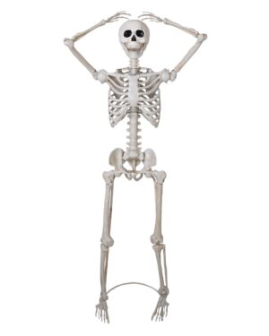 SQUELETTE sur pied articulé Taille 152cm