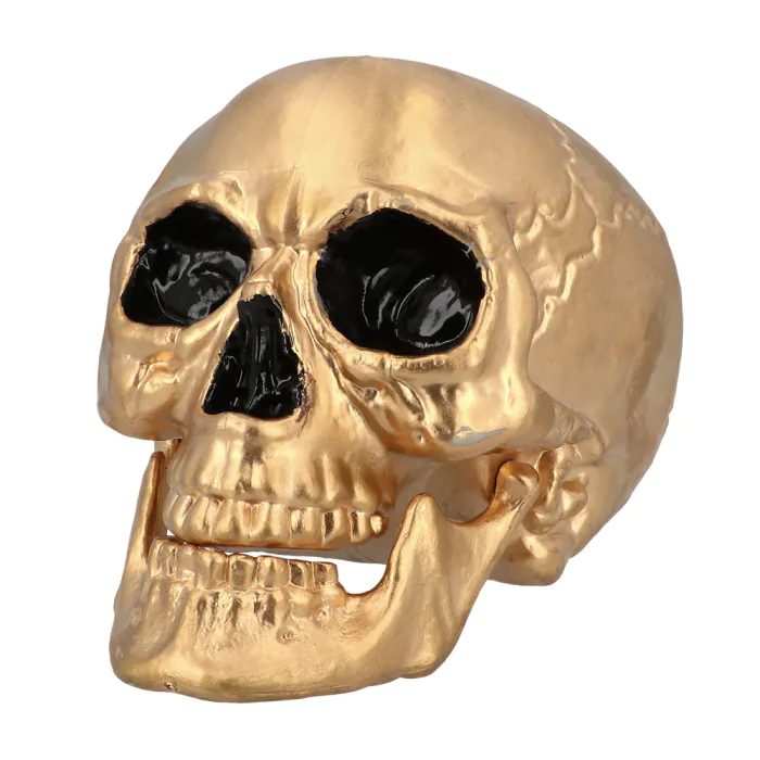 TÊTE DE MORT DORÉE (Dimension 17x17 x 24 cm) – Image 1
