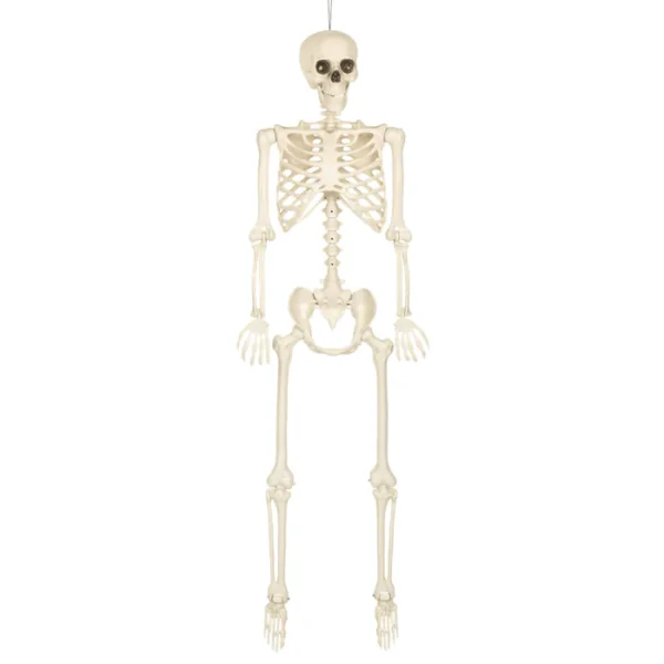 DECORATION SQUELETTE BLANC 160CM SKINNY 1ER PRIX