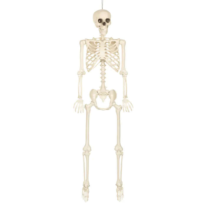 DECORATION SQUELETTE BLANC  160CM SKINNY 1ER PRIX – Image 1