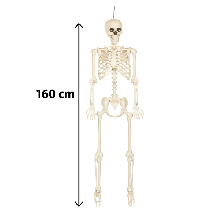 DECORATION SQUELETTE BLANC  160CM SKINNY 1ER PRIX – Image 2