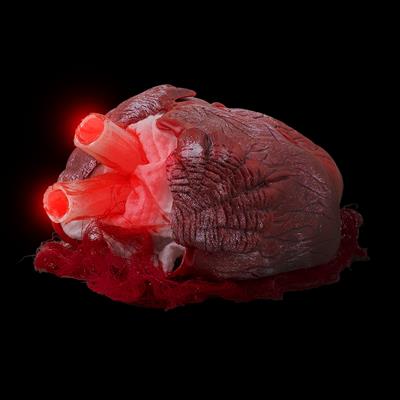 COEUR SANGLANT SON ET LUMIERE